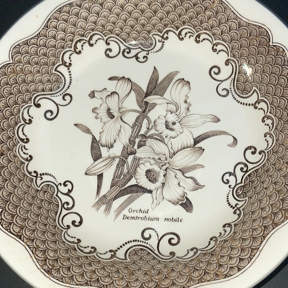 5 Orchid Nobile English Ironstone Tableware Soup Bowls England Staffordshire - Picture 9 of 11